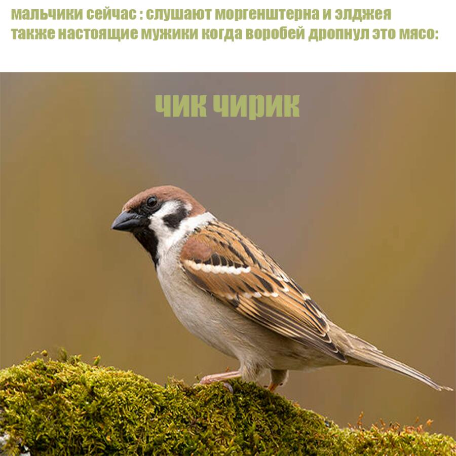 лично я слушаю это всегда