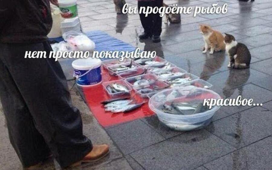 Мем от Бред