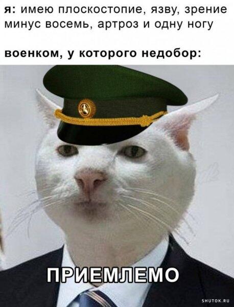 Мем без подписи