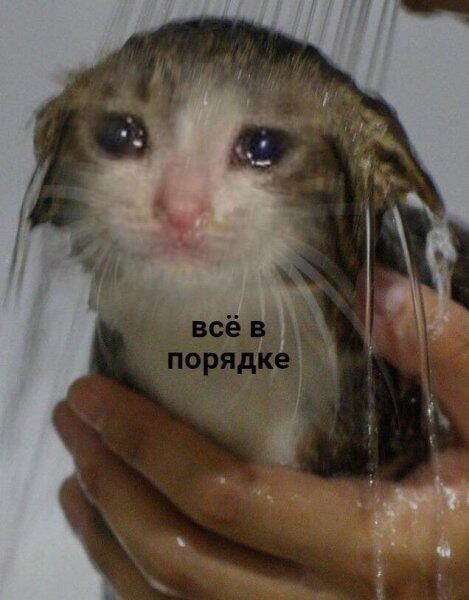Мем от Бред
