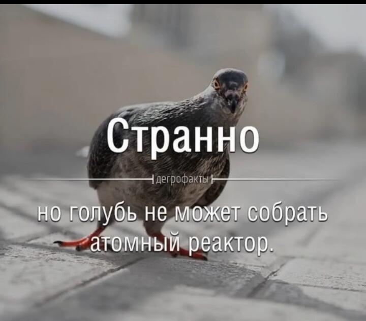 (не) логично!
