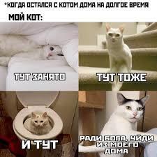 Мем от Пейчел Гарден