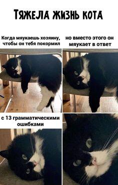 Мем от Пейчел Гарден