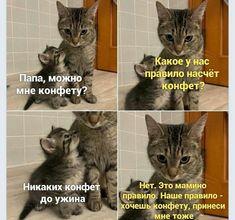 Мем от Пейчел Гарден