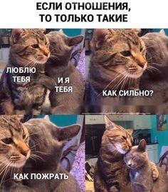 Мем от Пейчел Гарден
