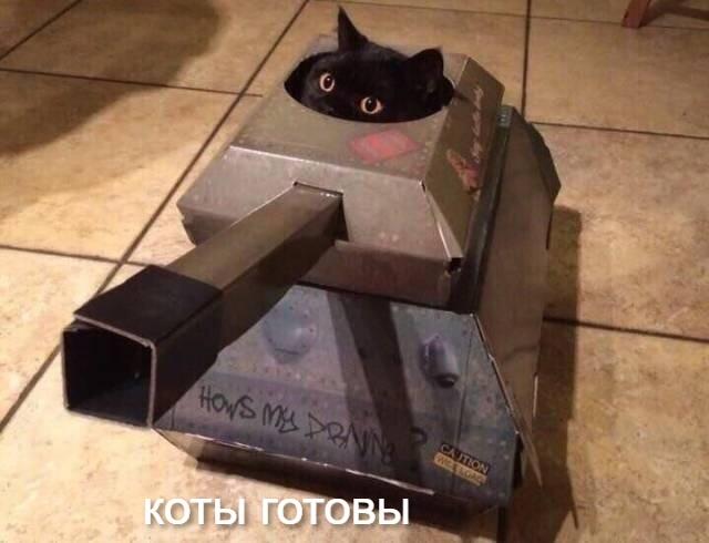 это что бунт??