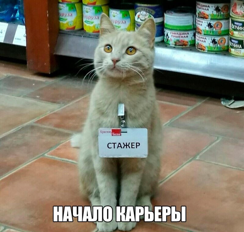 наченаем бизнес