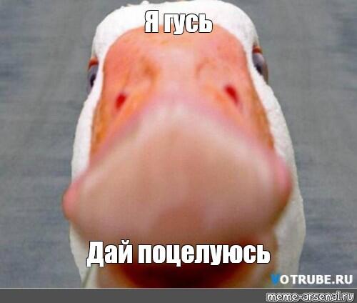 Мем без подписи