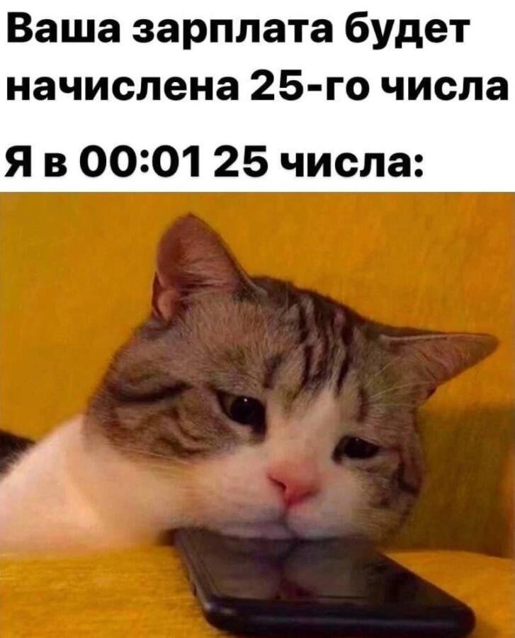Мем без подписи