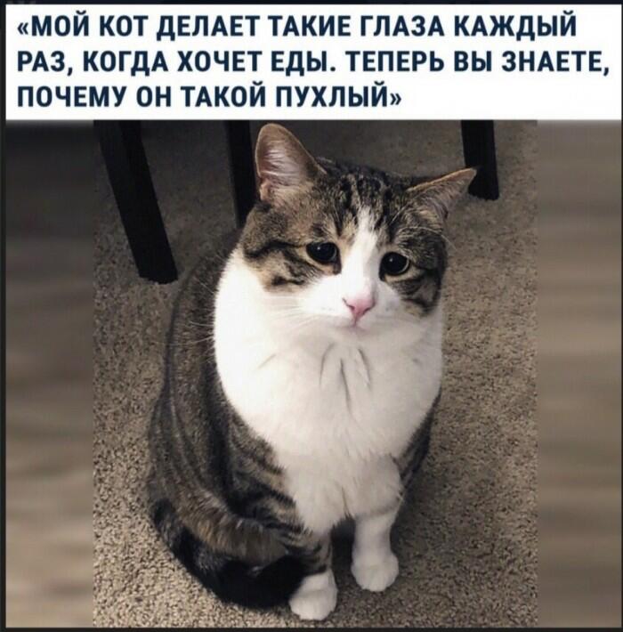 Мем без подписи