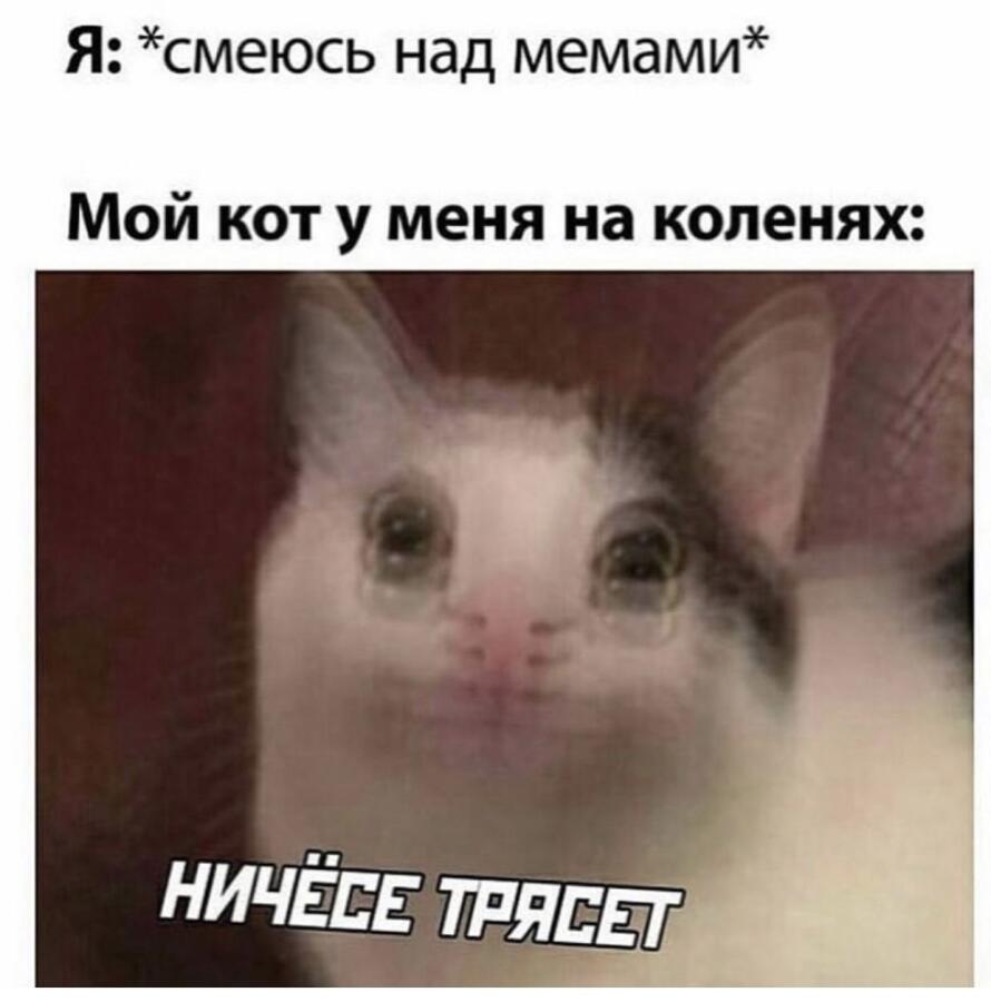 Мем без подписи