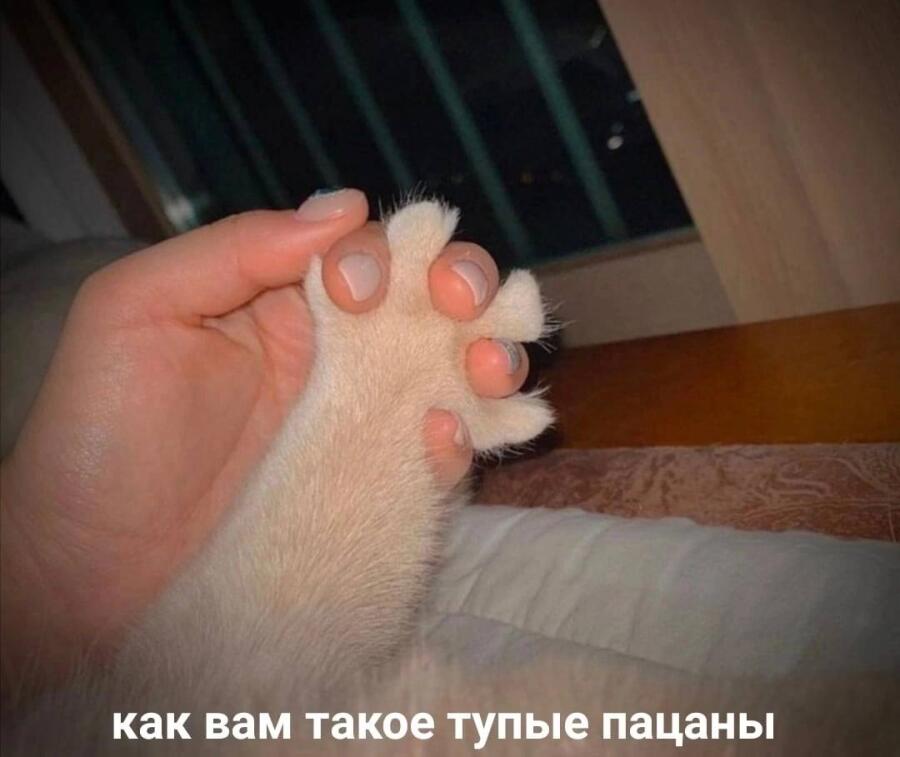 Мем от misfortune official