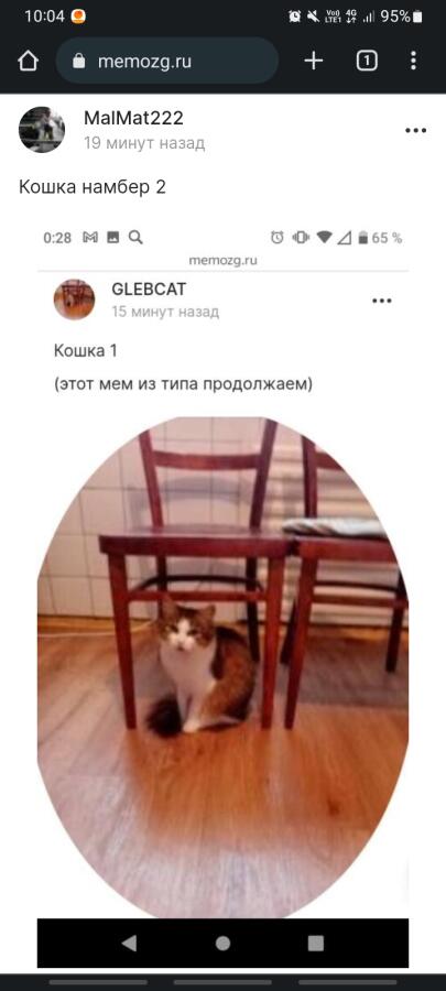 Кошка №3✨️✨️🪄