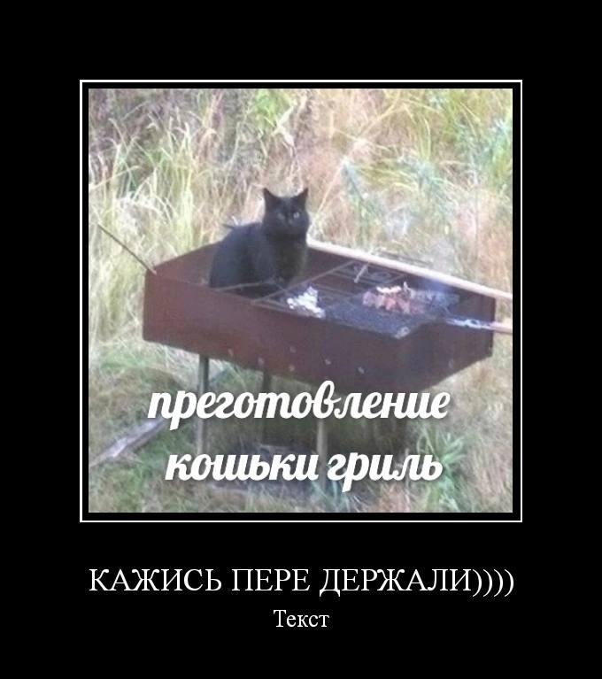 Мем от misfortune official