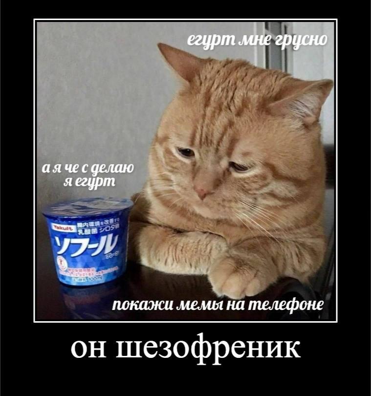 Мем от misfortune official