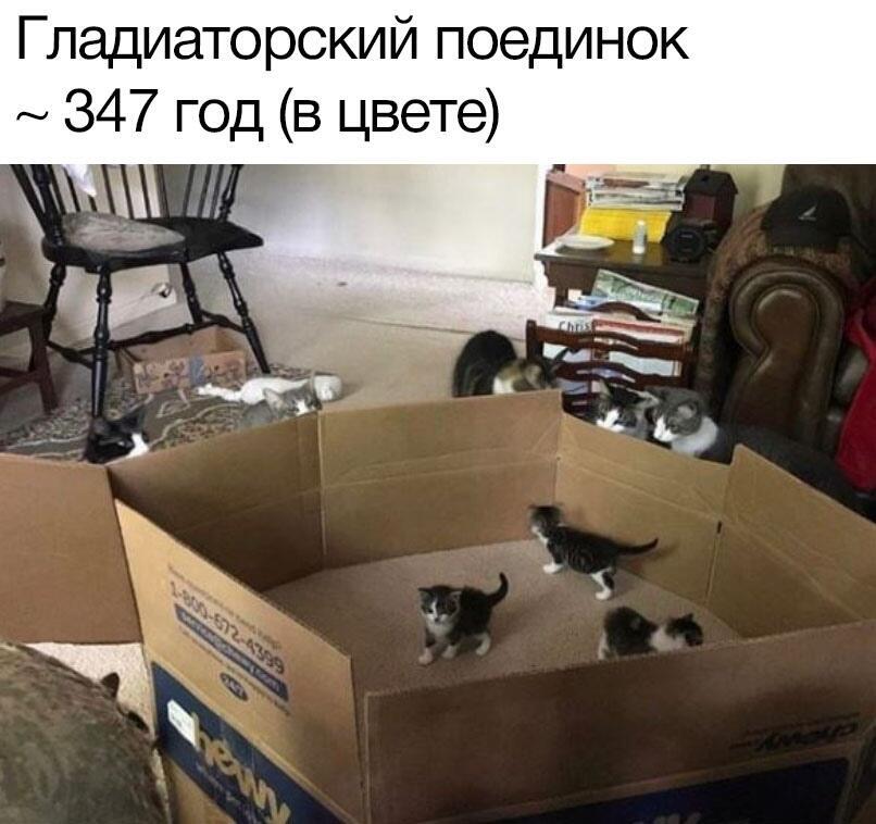 Мем без подписи