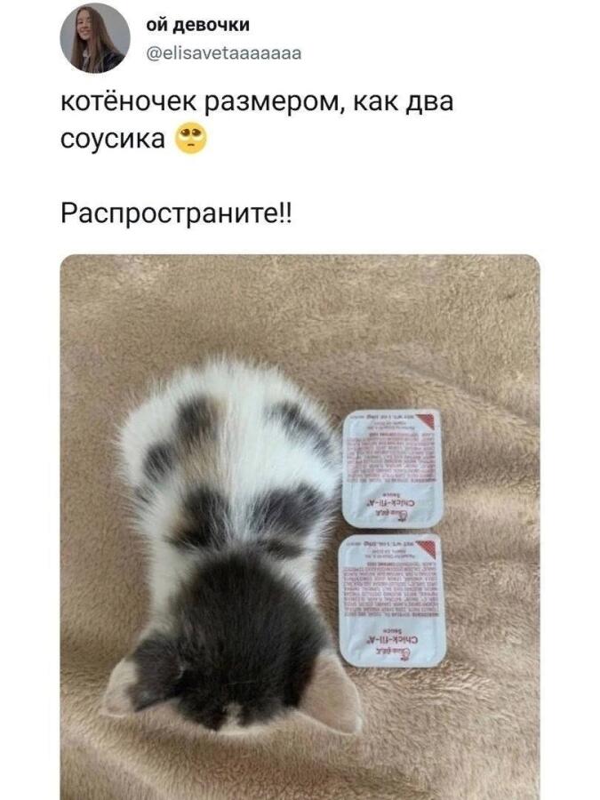 Мем от misfortune official