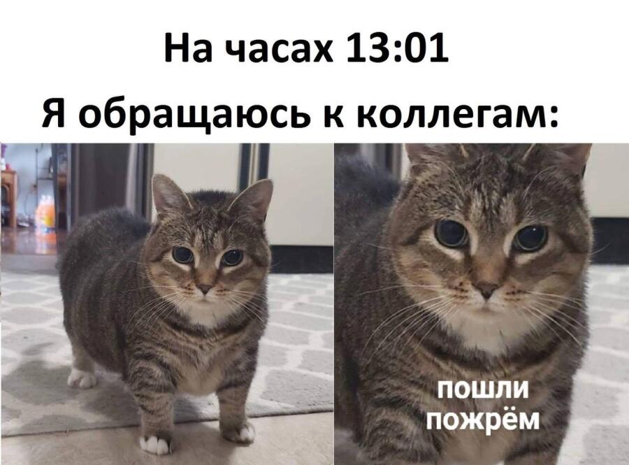 Мем от misfortune official