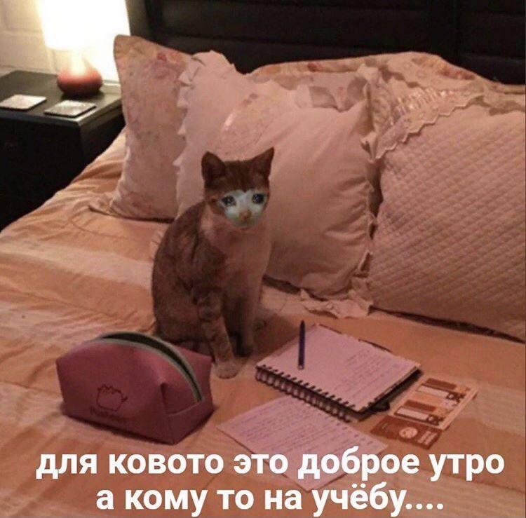 Мем без подписи