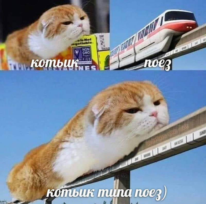 Мем от misfortune official