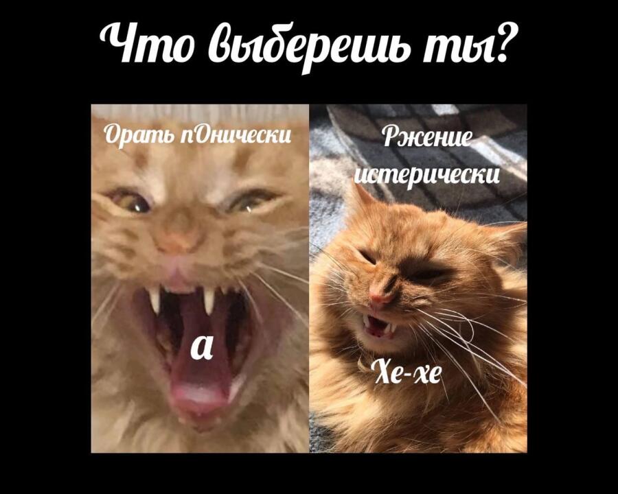 Мем без подписи