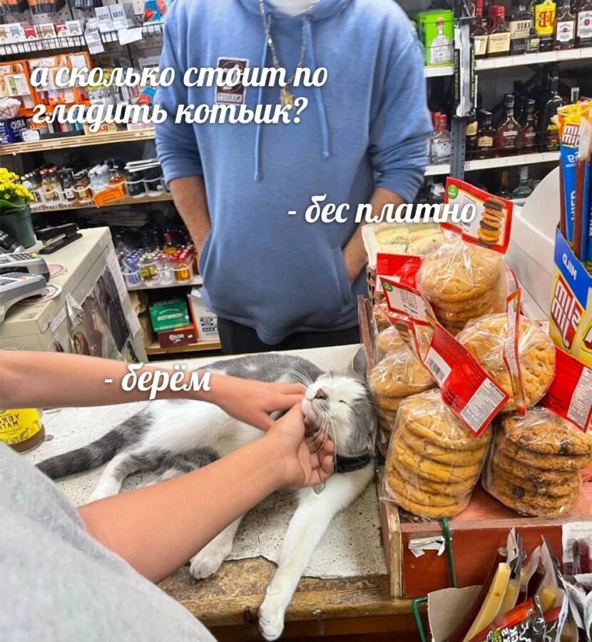 Мем без подписи