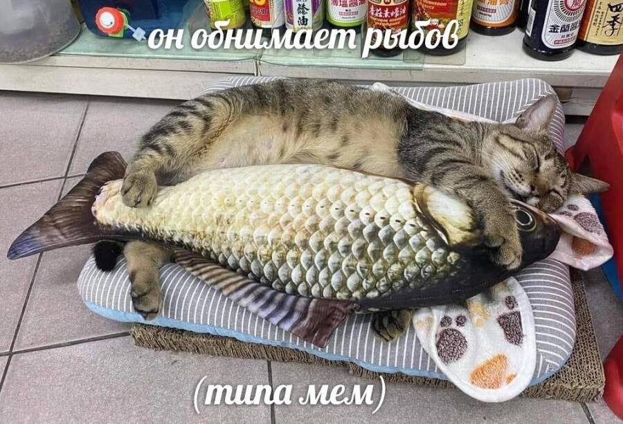 Мем без подписи