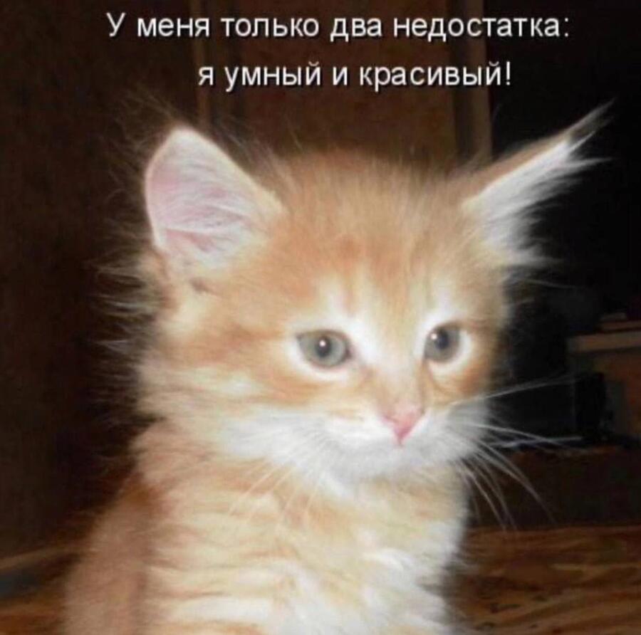 Мем от misfortune official