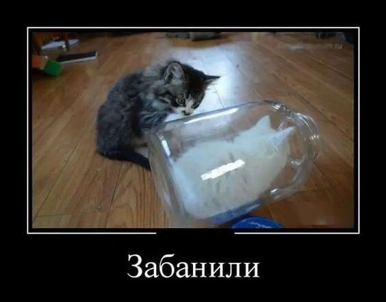 Мем без подписи
