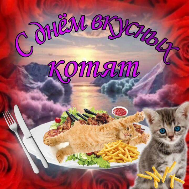 Поздравляю!)✨️✨️✨️✨️✨️✨️✨️✨️✨️✨️✨️✨️✨️✨️✨️✨️✨️✨️✨️✨️✨️✨️✨️✨️✨️✨️✨️🪄