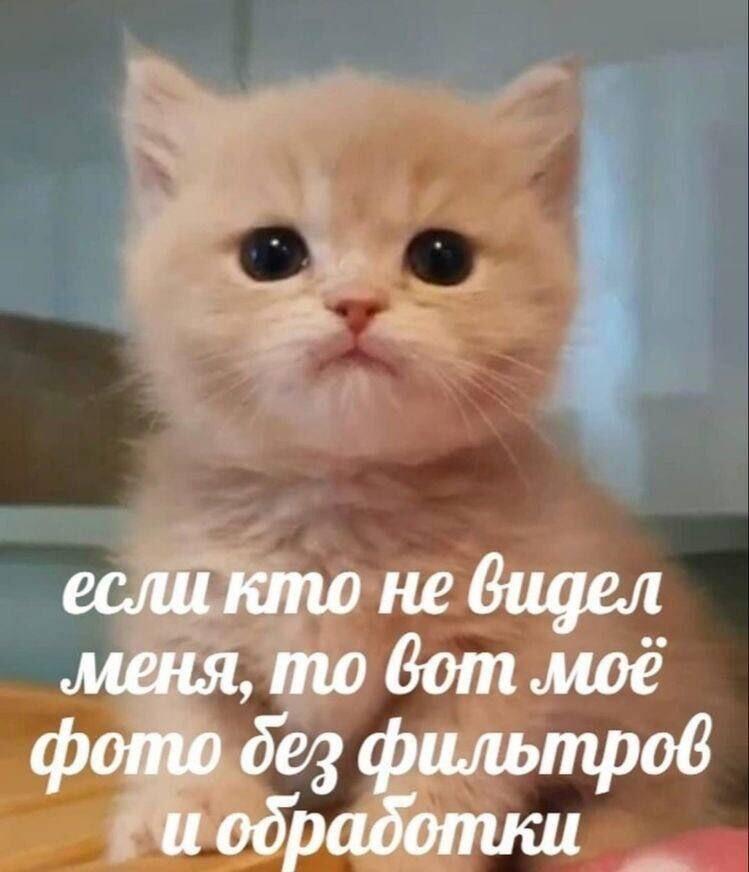 Мем от misfortune official
