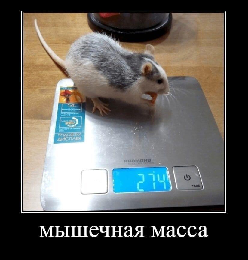 Мем без подписи