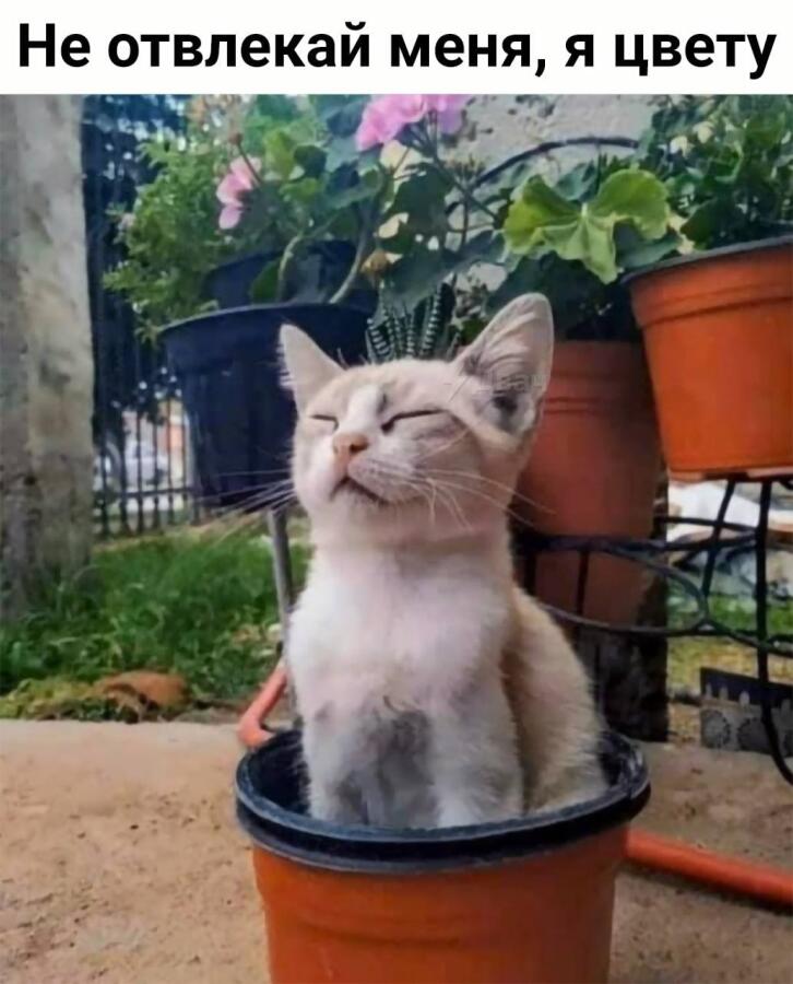 Хорошо, котик. Не буду мешать.) 
✨✨✨✨✨✨✨✨✨✨✨✨✨✨✨🪄.