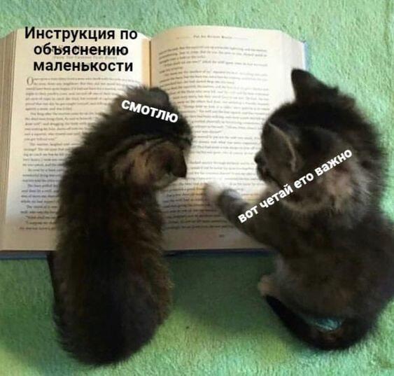 Мем от misfortune official