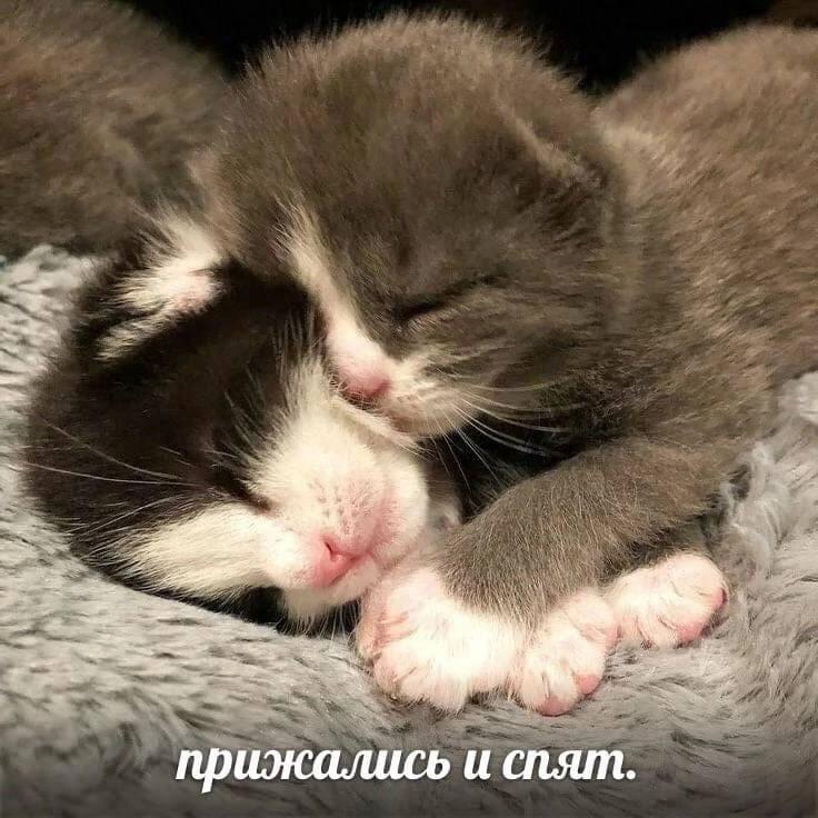 Мем без подписи