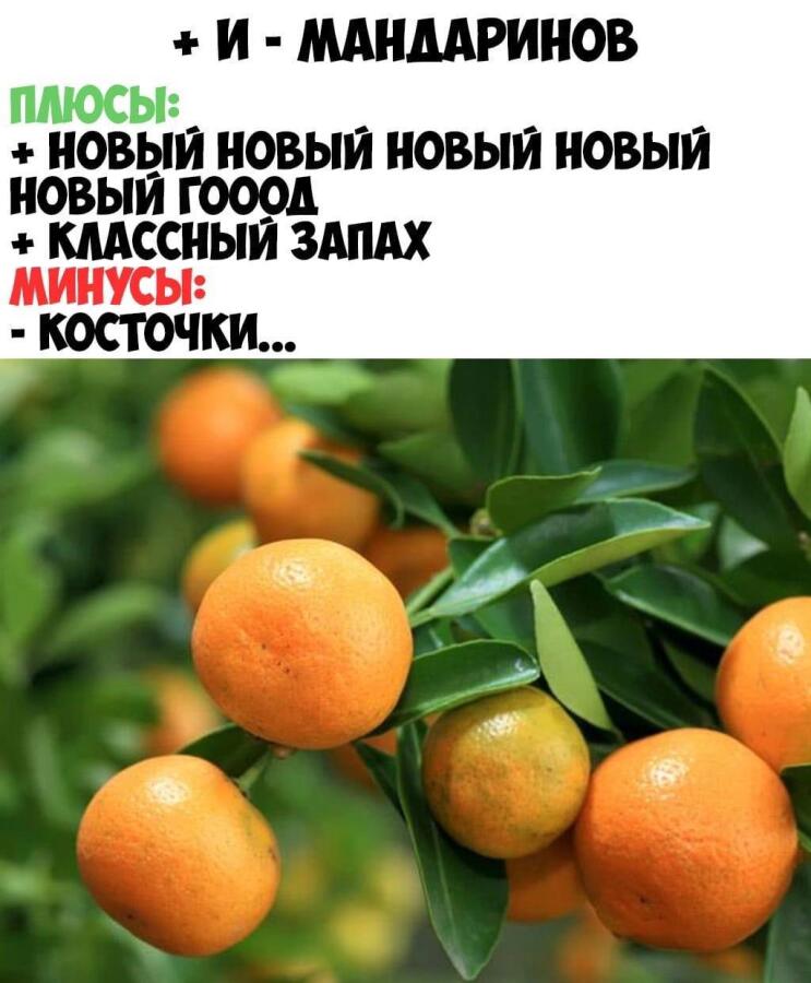 Мем без подписи
