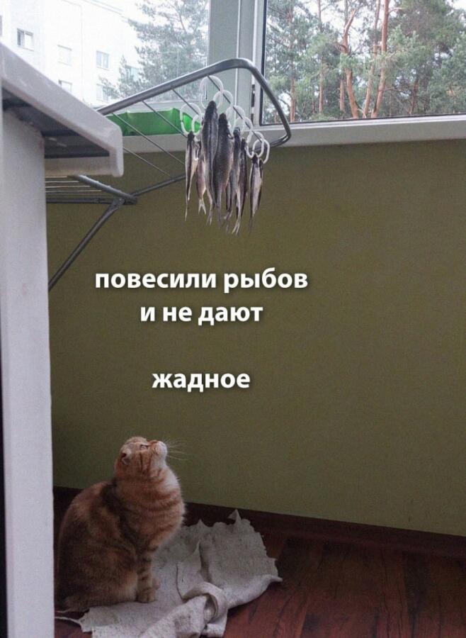 Мем от misfortune official