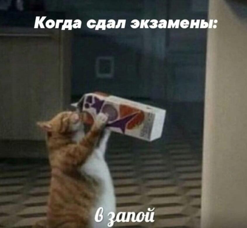 Мем от misfortune official