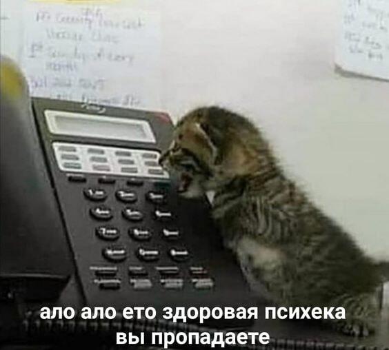 Мем от misfortune official