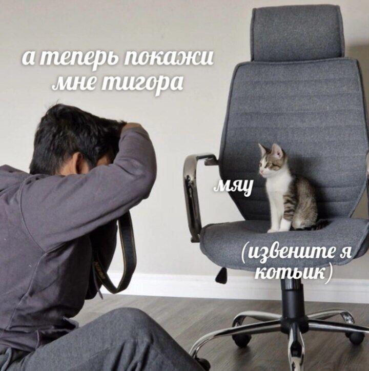 Мем без подписи
