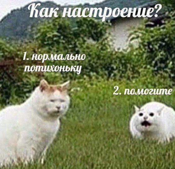 У меня вариант 2...🥲
