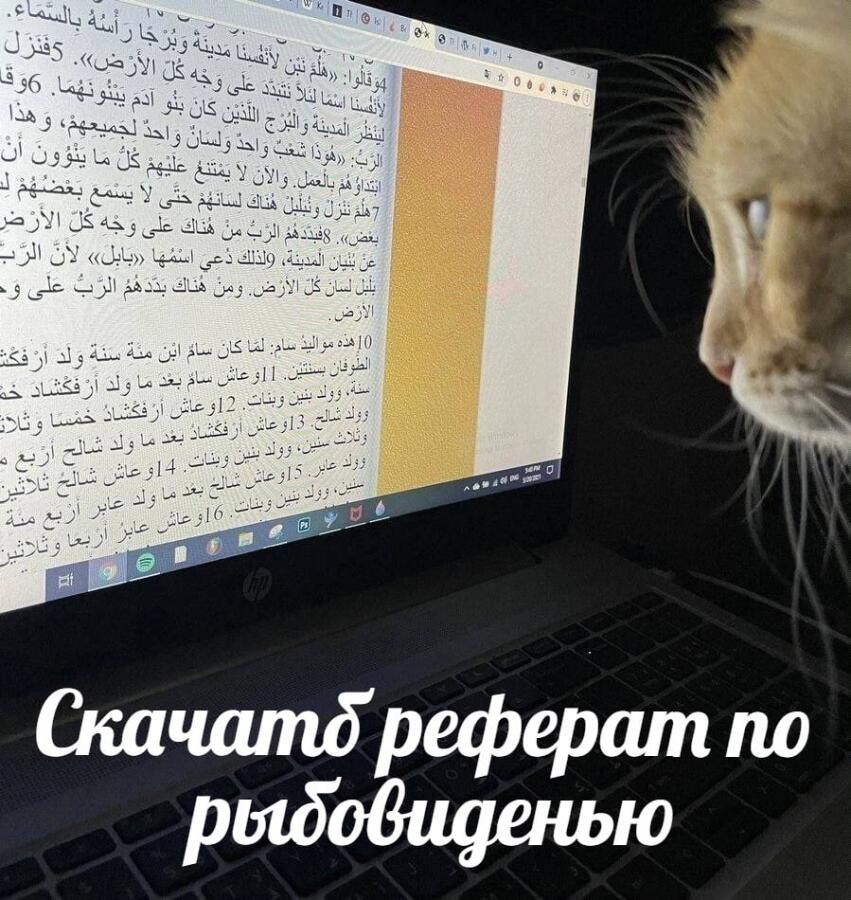 Мем от misfortune official