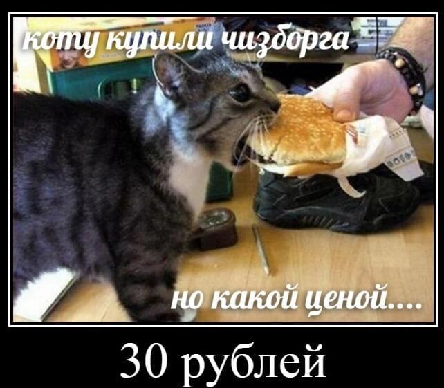 Мем без подписи