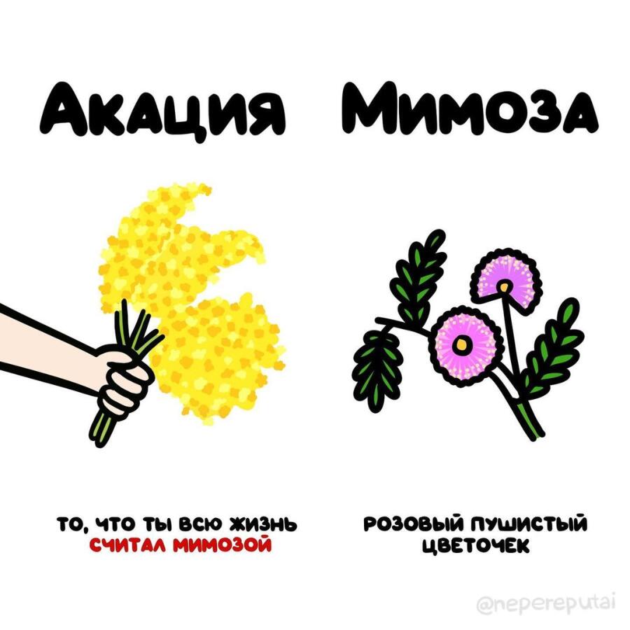 Мем без подписи