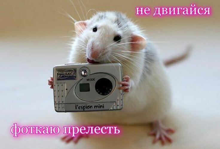 Мем без подписи