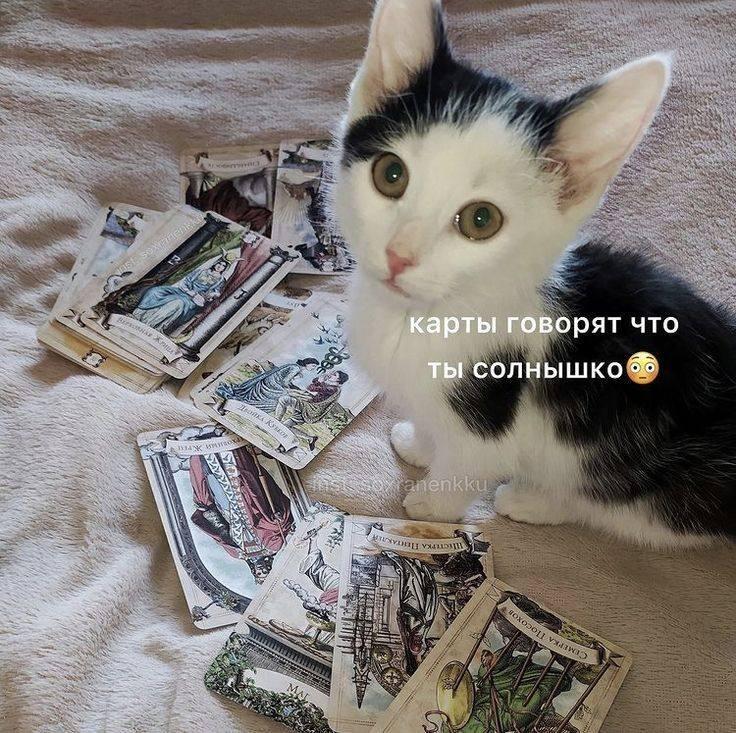 Мем без подписи