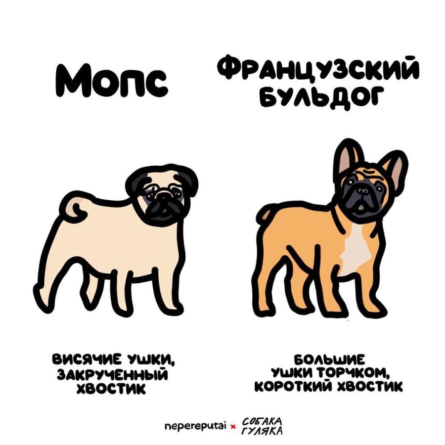 Мем без подписи
