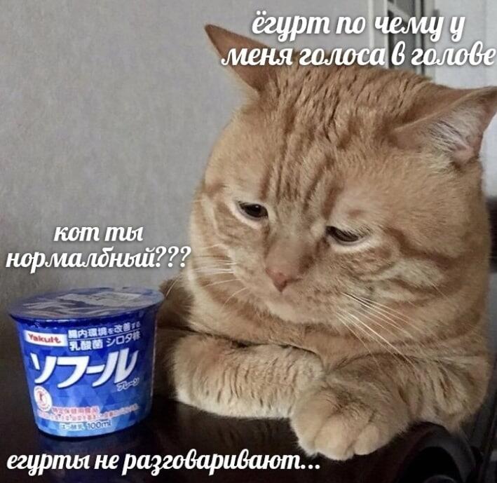 Мем без подписи