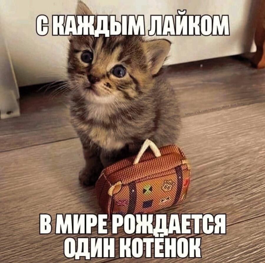 Мем без подписи