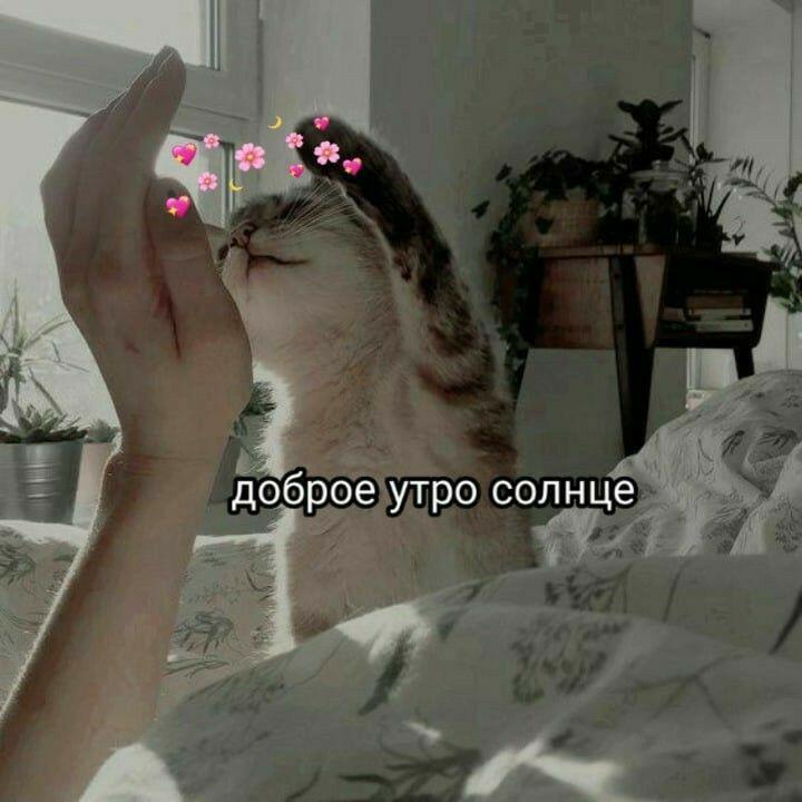 ✨✨✨✨✨✨✨✨✨✨✨✨✨✨✨️✨✨🪄